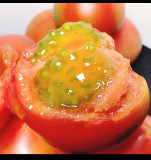 内蒙古赤峰松山有机番茄5斤装   顺丰包邮到家 商品图0