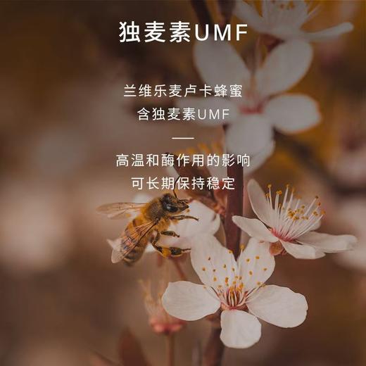 【女神节】UMF10+新西兰麦卢卡蜂蜜250g原装进口+赠800ml含气矿泉水1瓶 商品图4