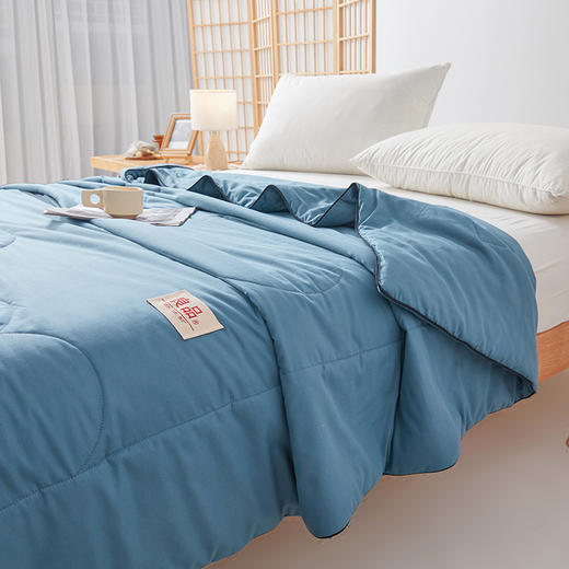 【品牌直发】加倍生活 A类水洗棉新疆棉花夏被-纯色系列 7色可选 带检测口 夏凉被空调被 商品图3