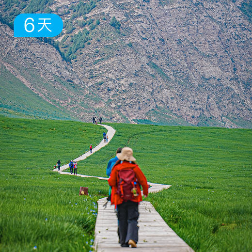 祁连山54公里轻徒步｜开湖季高山杜鹃季 赴草原冰川雪山之约 6日 商品图6