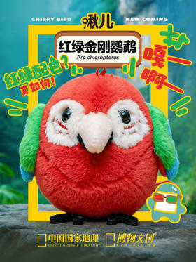 铁嘴e鸟，爱吃土？