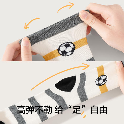 【5双装】【有棵树】男童中筒棉袜组合装 商品图7