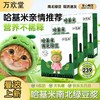 【哈基米南北绿豆豆浆】0脂肪 无乳糖 快乐无负担，豪爽配细腻，绵密又清甜， 营养早餐粉冲调豆浆懒人早餐豆浆健康QQ 商品缩略图2