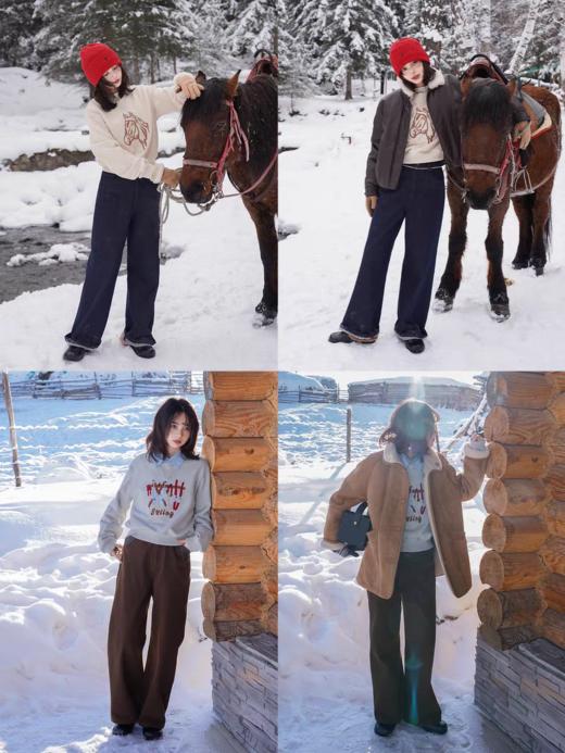 浮生八记/25D255/全棉冬日小马驹手工刺绣毛巾绣圆领卫衣 商品图4