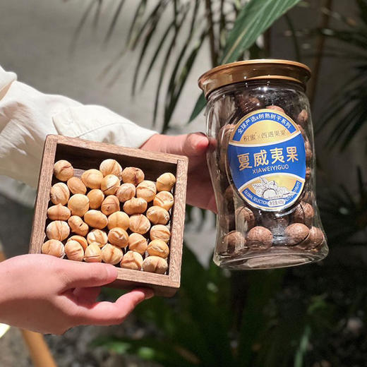 【下单后48小时发货】夏威夷果435g*2罐 酥香脆滑 奶香浓郁 商品图3