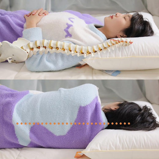 Suprelle舒飘儿阻螨超柔慢回弹枕 | 德国睡眠新科技，超细纤维支撑力，纯棉阻螨技术，3个高度可选，新年睡好觉 商品图7