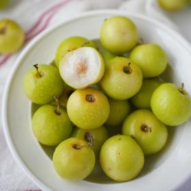 【包邮】樱桃珍珠枣，一颗甜蜜与珍贵的“小美味”，皮薄多汁，甜而不腻、脆嫩清爽，稀有品种
