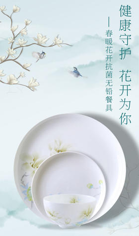 华光国瓷 春暖花开抗菌无铅餐具36头