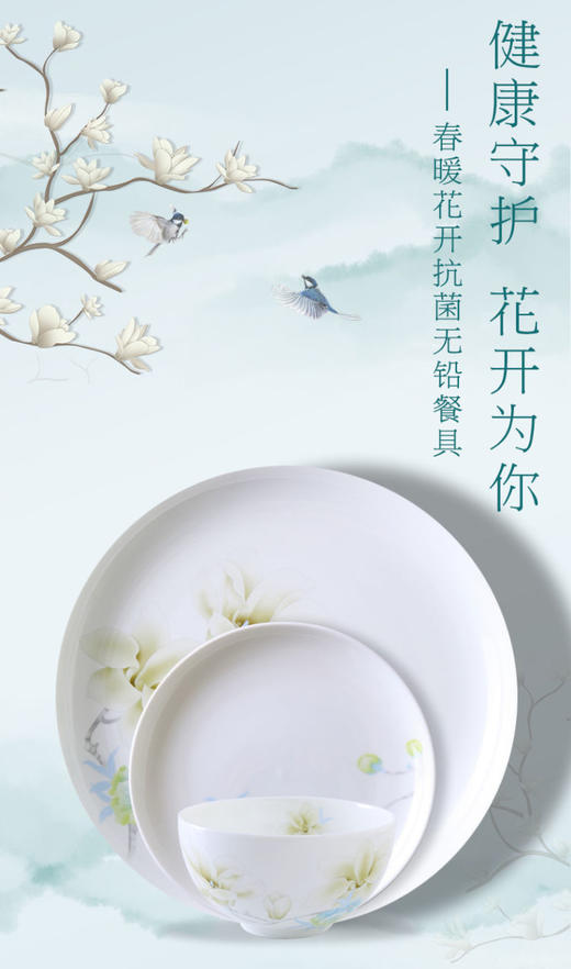 华光国瓷 春暖花开抗菌无铅餐具36头 商品图0