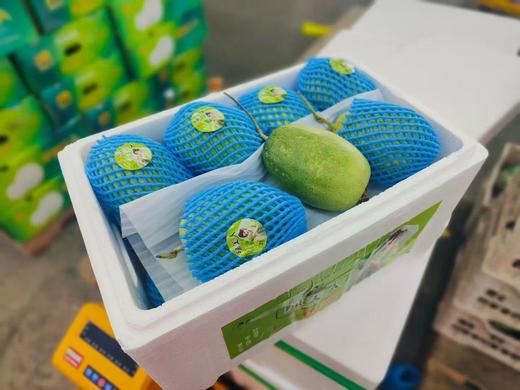 周二取货：【定金链接】特惠11.8元/斤，绿美人，清香甜蜜爽口，一份4个，预付定金10元，到店称重补差价。 商品图4