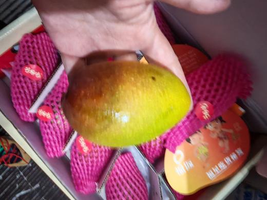 福返贵妃芒 商品图1