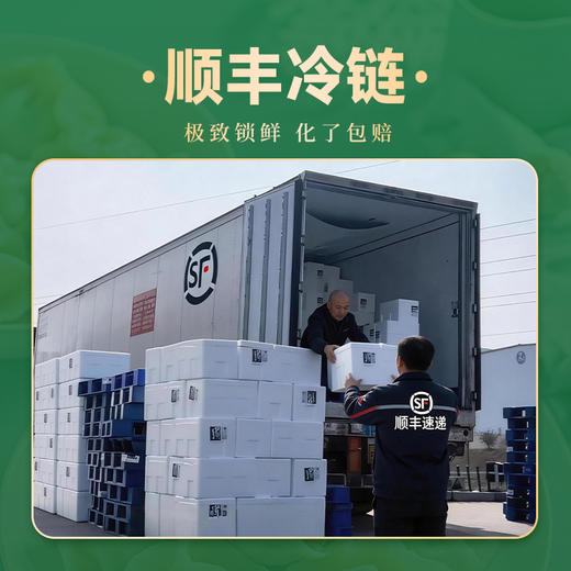 伊穆家园.清真优质实惠牛肉大葱水饺 【规格可选】 商品图11