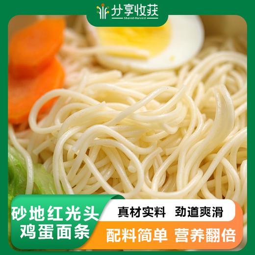 砂地红光头鸡蛋面条 | 合作生产 | *Sandy Red Bald Egg Noodles 商品图0