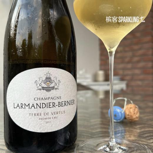 Larmandier-Bernier Terre de Vertus Premier Cru  Non Dosé 2017 拉蒙迪耶维尔图斯白中白香槟 2017 商品图1