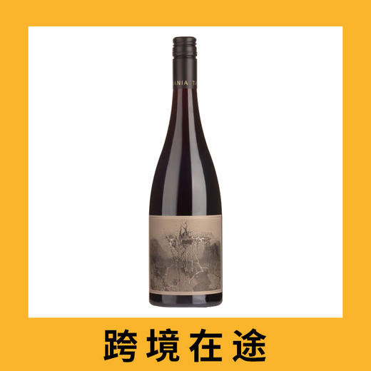 巨人脚步酒庄致命海岸塔斯马尼亚黑皮諾干红葡萄酒2021（首付款）Giant Steps Fatal Shore Pinot Noir, Coal River Valley, Australia 商品图0