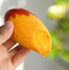 海南树熟一级贵妃芒果礼盒顺丰包邮*2.5kg 商品缩略图3