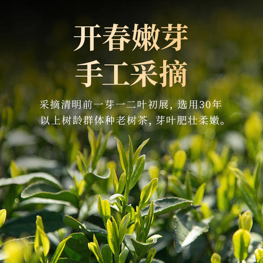 艺福堂龙井茶锦绣山河瓷罐礼盒240g 商品图2