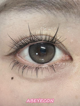 Mist Veil雾纱水光黑茶【日抛·十片装】