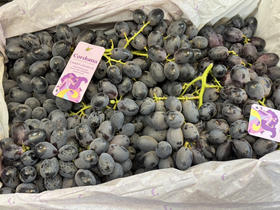 澳洲黑提（散称49.8/斤称重补差）