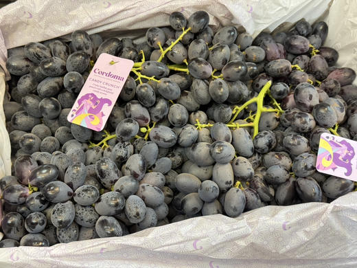 澳洲黑提（散称49.8/斤称重补差） 商品图0