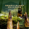 MM 山姆 徽记牛肝菌翡翠笋（椒麻冷泡味）620g 商品缩略图4