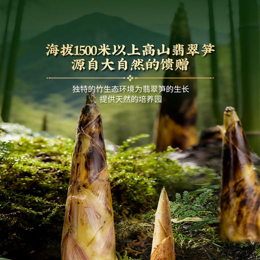 MM 山姆 徽记牛肝菌翡翠笋（椒麻冷泡味）620g 商品图4