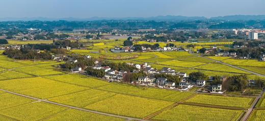 【觅趣625号院·眉山青神】5房包院，swrl 商品图1