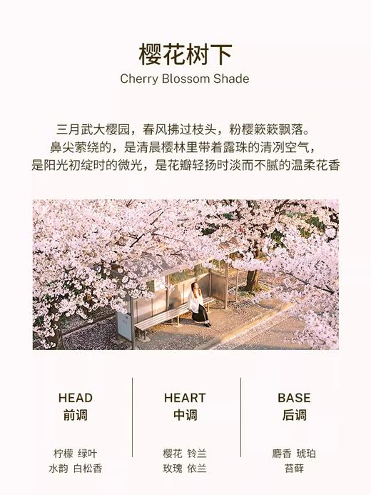 【新品上市】尹谜樱花衣柜石膏香挂 衣物除味卧室香氛 商品图3