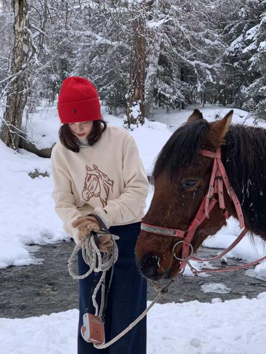 浮生八记/25D255/全棉冬日小马驹手工刺绣毛巾绣圆领卫衣 商品图1
