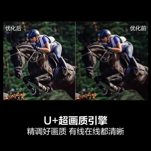 海信（Hisense）电视 75D30QD 商品图3