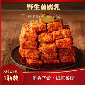 【新品活动   买二送一】【云南特产珍贵天然野山菌】天台羊泉野山菌油腐乳850g*1瓶