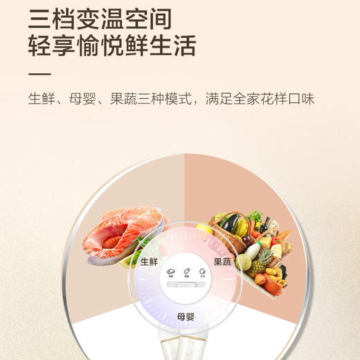 海尔（Haier）冰箱 BCD-500WGHFDEDWVU1 商品图7