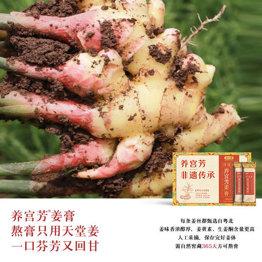 清心堂 养宫芳姜膏 粤北天堂姜非遗配方非遗传承金鉴堂联合出品 商品图3