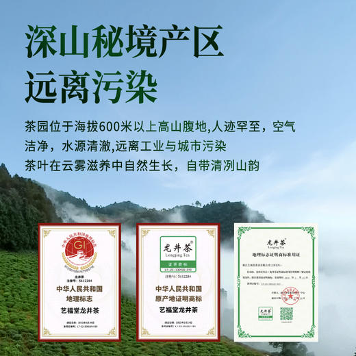 【新茶预售】艺福堂深山龙井茶（绿色认证）125g/包 商品图3