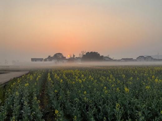 【觅趣625号院·眉山青神】5房包院，swrl 商品图6