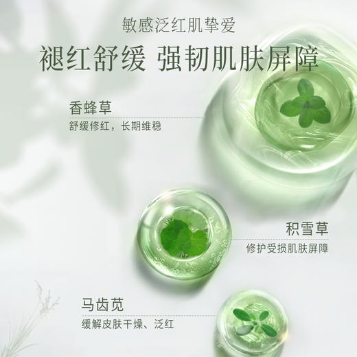 【LIGHTMUSIC】提拉V脸女神礼包【佳人严选】 商品图10