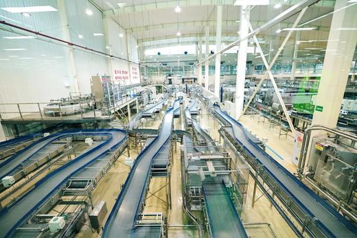 春假专场4.2-4.3❗️【峨眉探索家】2天1夜自然探索营：非遗竹编、现代工业探秘  传统武术传承、溶洞地质科考  丛林自然探索、飞拉达攀岩挑战 商品图5