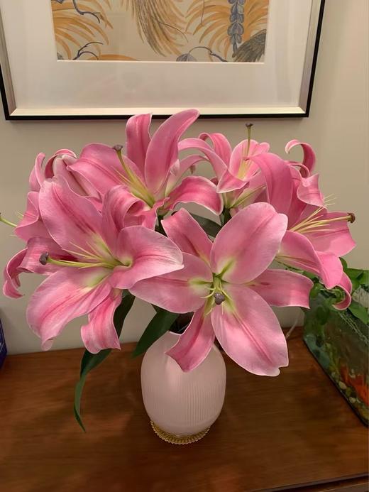 普拉芬多百合10枝 商品图0