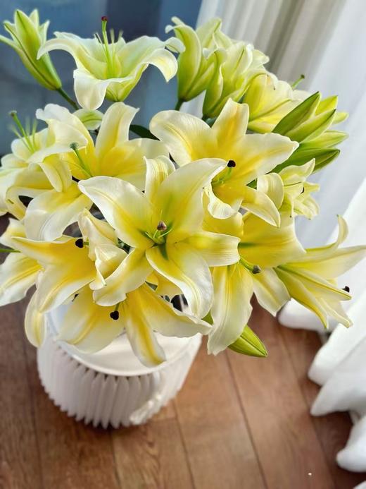 木门百合10枝 商品图0