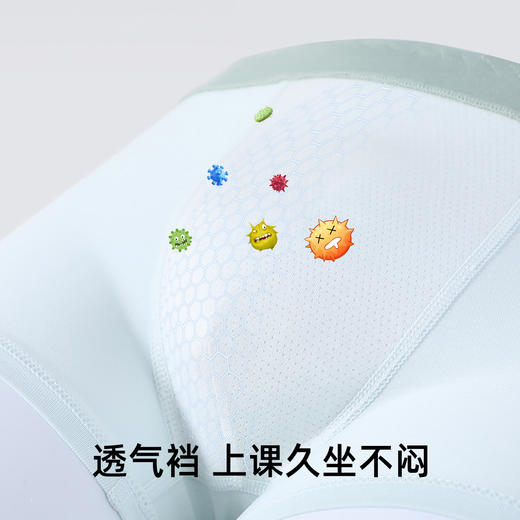 【4条装】【150-170】【有棵树】男童平角内裤组合装 商品图3