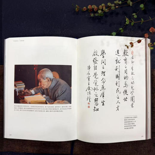 云山万里：南怀瑾先生纪念辑 商品图7