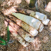朴食有方头茬天目山雷笋4斤装 新鲜现挖临安春笋产地直供 商品缩略图4