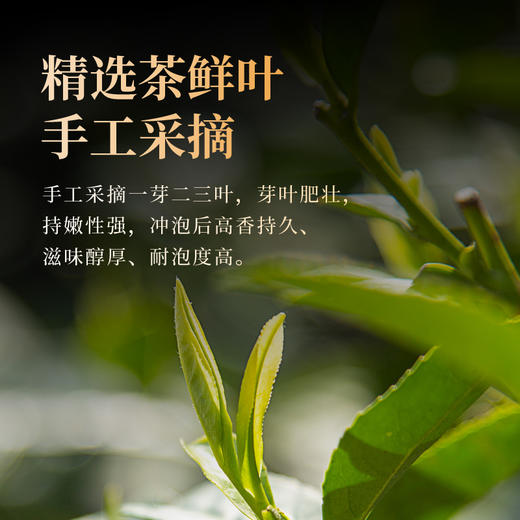 艺福堂云间龙井茶（低碳认证）125g/盒 商品图3