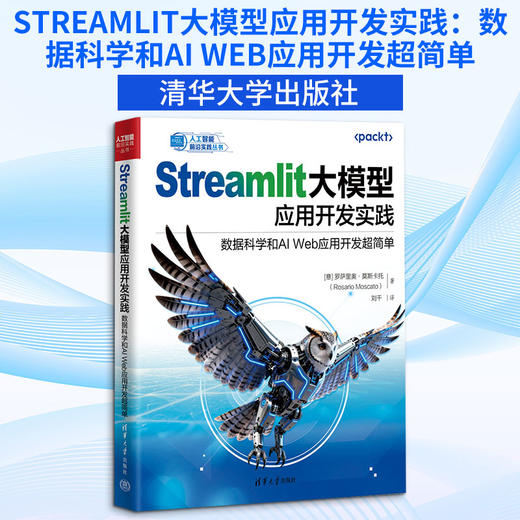 STREAMLIT大模型应用开发实践：数据科学和AI WEB应用开发超简单 商品图0