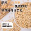 【无油烘焙❗️即食燕麦片】经典原味多种营养，软糯好吃没负担，理想代餐高纤饱腹6h，原味1kg即食纯燕麦谷物免煮懒人代餐早餐食品QQ 商品缩略图1