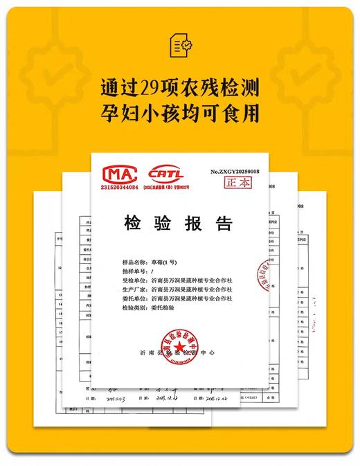 山东临沂   酵素生态香野草莓 现摘现发 商品图4