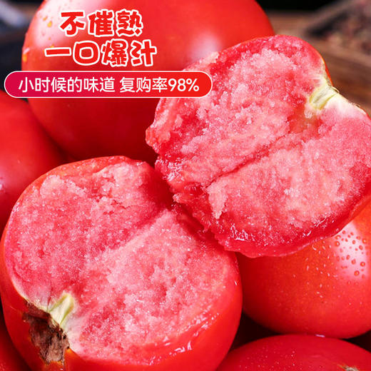 陕西普罗旺斯西红柿 净重4-4.5斤小中大果 商品图10