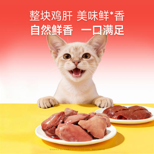 【新品】【蒸煮鲜鸡肝】宽福 100%鲜鸡肝原料 高温蒸煮锁住营养 动物蛋白细腻易消化 富含维生素A 助力呵护眼眸 独立包装方便喂食携带 商品图2