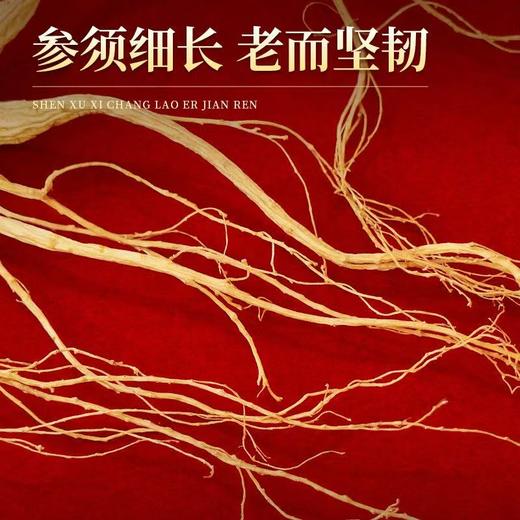 【长白山人参】林下参礼品盒装50g 商品图5