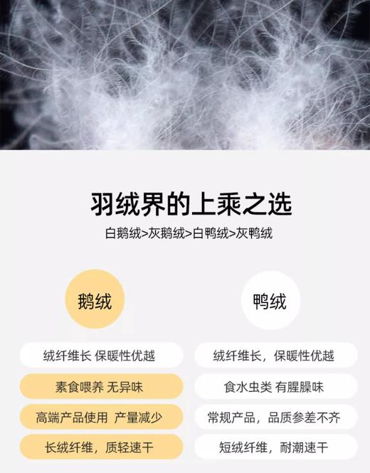 【群内福利】【黑色羽绒服马甲】90白鹅绒连帽款 商品图3